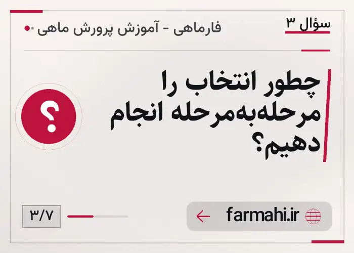 چطور انتخاب را مرحله‌به‌مرحله انجام دهیم؟
