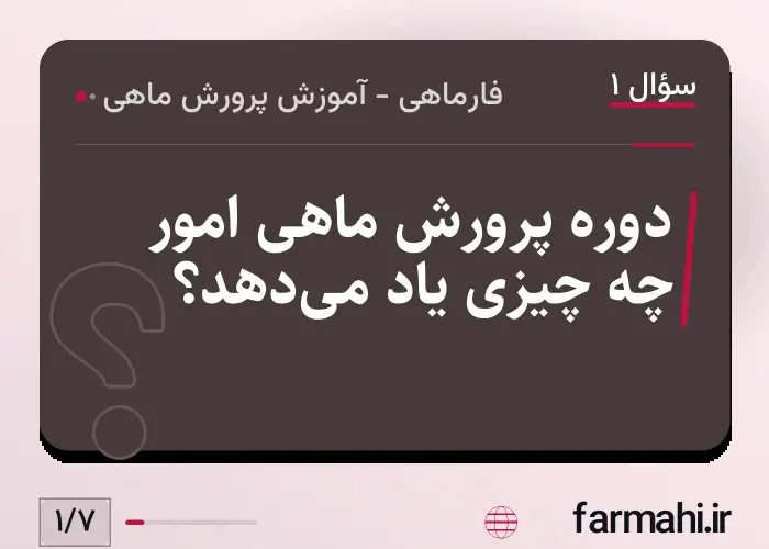دوره پرورش ماهی امور چه چیزی یاد می‌دهد؟