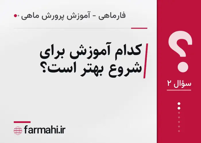 کدام آموزش برای شروع بهتر است؟