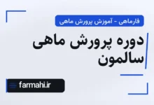 دوره پرورش ماهی سالمون