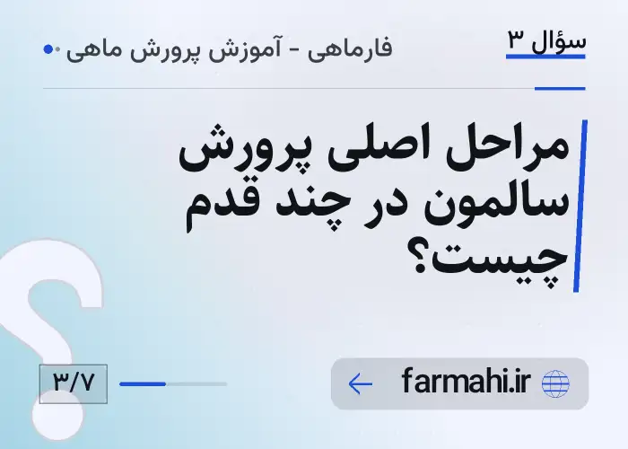 مراحل اصلی پرورش سالمون در چند قدم چیست؟