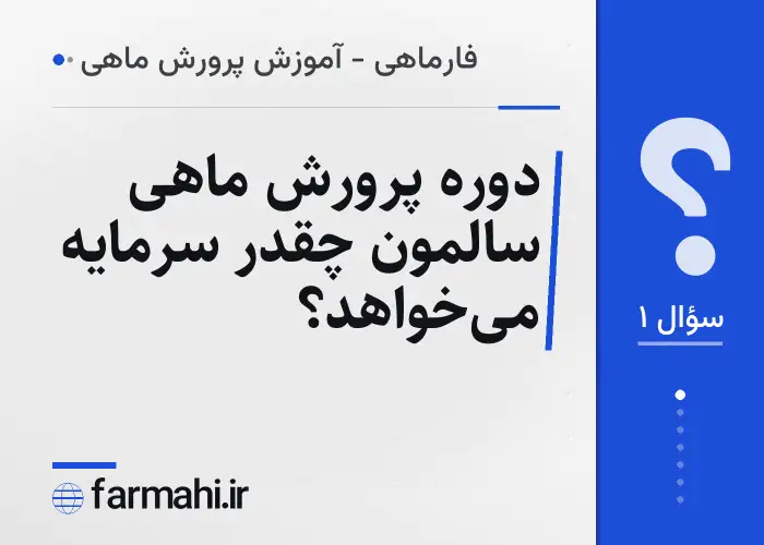 دوره پرورش ماهی سالمون چقدر سرمایه می‌خواهد؟