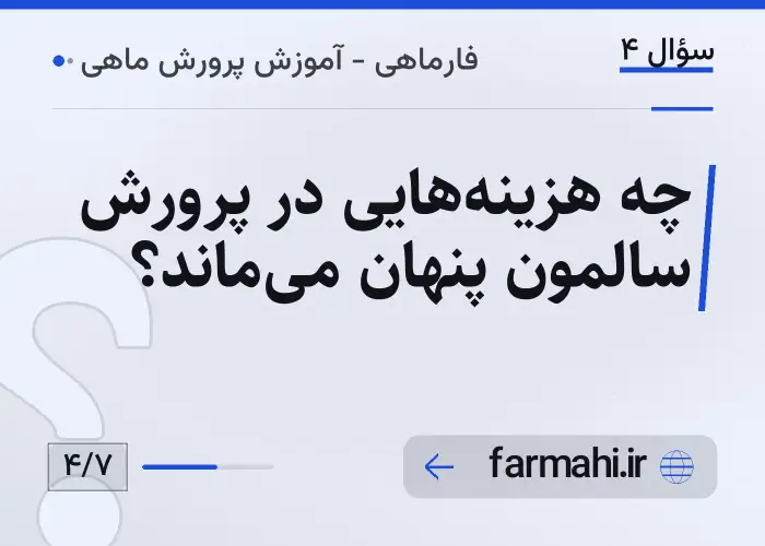 چه هزینه‌هایی در پرورش سالمون پنهان می‌ماند؟