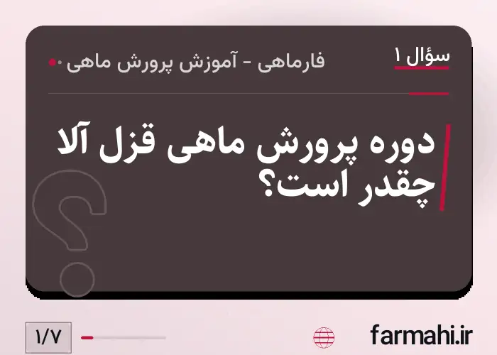 دوره پرورش ماهی قزل آلا چقدر است؟