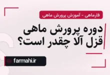 دوره پرورش ماهی قزل آلا چقدر است؟