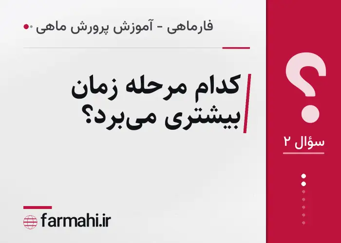 کدام مرحله زمان بیشتری می‌برد؟