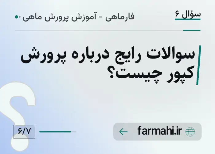 سوالات رایج درباره پرورش کپور چیست؟