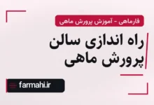 راه اندازی سالن پرورش ماهی