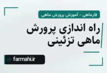 راه اندازی پرورش ماهی تزئینی