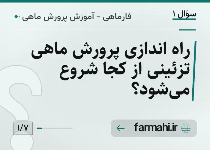 راه اندازی پرورش ماهی تزئینی از کجا شروع می‌شود؟