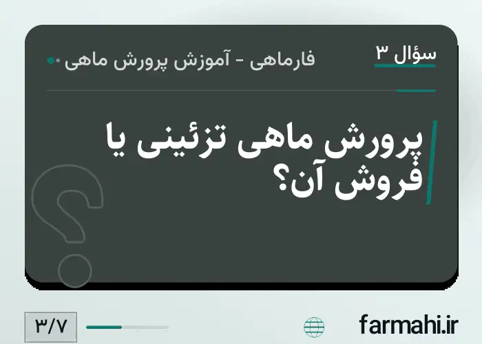پرورش ماهی تزئینی یا فروش آن؟