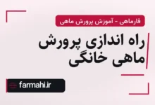 راه اندازی پرورش ماهی خانگی