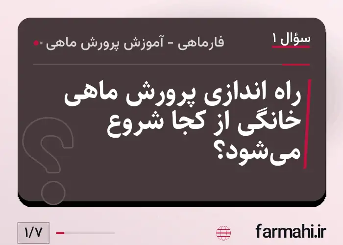 راه اندازی پرورش ماهی خانگی از کجا شروع می‌شود؟