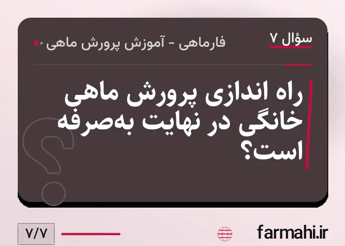 راه اندازی پرورش ماهی خانگی در نهایت به‌صرفه است؟