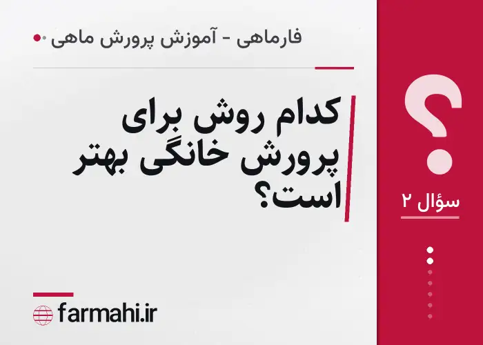 کدام روش برای پرورش خانگی بهتر است؟