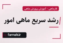 رشد سریع ماهی امور