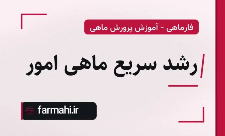رشد سریع ماهی امور