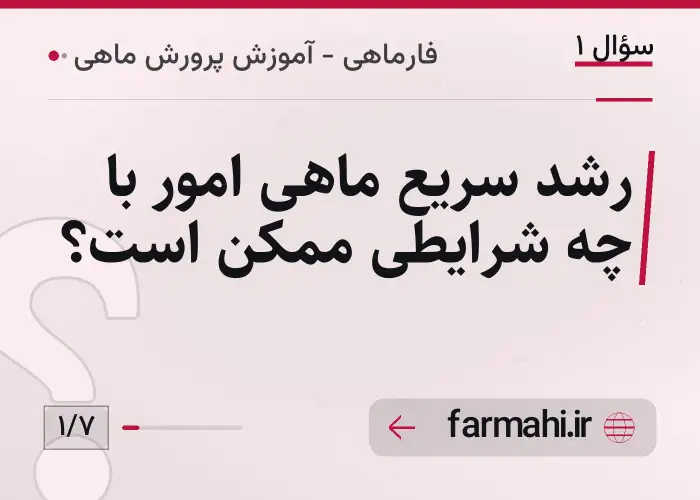 رشد سریع ماهی امور با چه شرایطی ممکن است؟