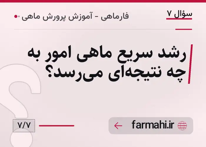 رشد سریع ماهی امور به چه نتیجه‌ای می‌رسد؟