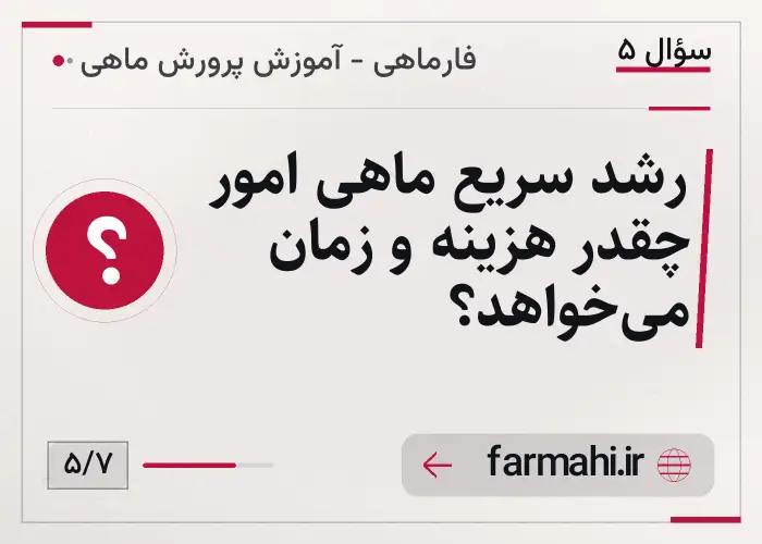 رشد سریع ماهی امور چقدر هزینه و زمان می‌خواهد؟