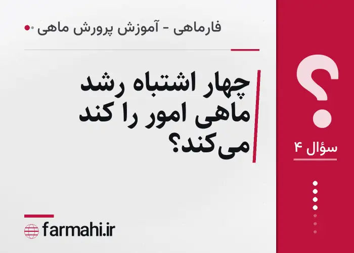 چهار اشتباه رشد ماهی امور را کند می‌کند؟