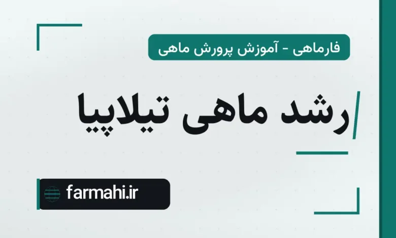 رشد ماهی تیلاپیا
