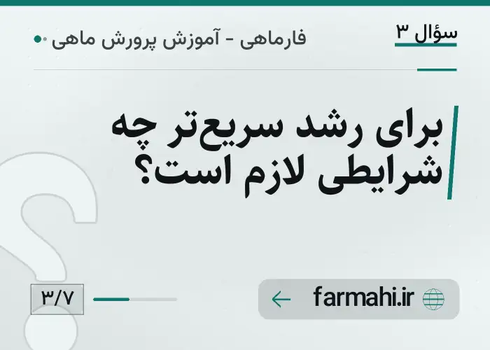برای رشد سریع‌تر چه شرایطی لازم است؟