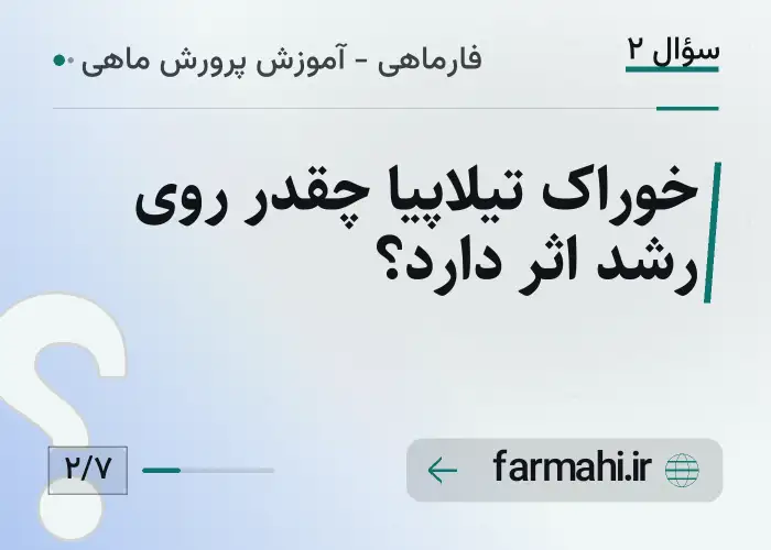 خوراک تیلاپیا چقدر روی رشد اثر دارد؟