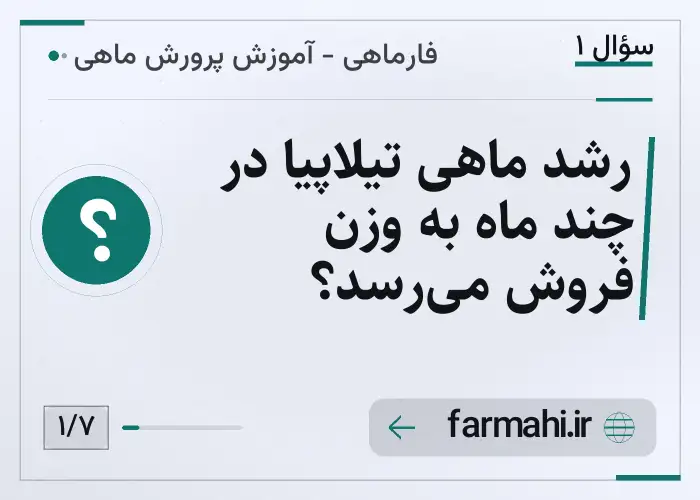رشد ماهی تیلاپیا در چند ماه به وزن فروش می‌رسد؟
