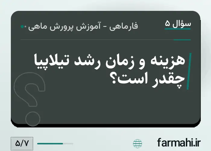 هزینه و زمان رشد تیلاپیا چقدر است؟
