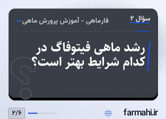 رشد ماهی فیتوفاگ در کدام شرایط بهتر است؟