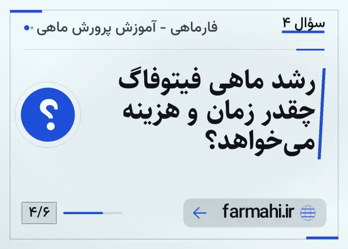رشد ماهی فیتوفاگ چقدر زمان و هزینه می‌خواهد؟