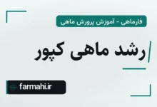 رشد ماهی کپور