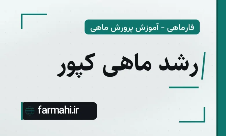 رشد ماهی کپور