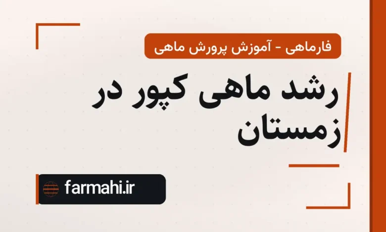 رشد ماهی کپور در زمستان