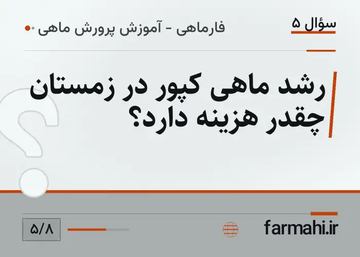 رشد ماهی کپور در زمستان چقدر هزینه دارد؟