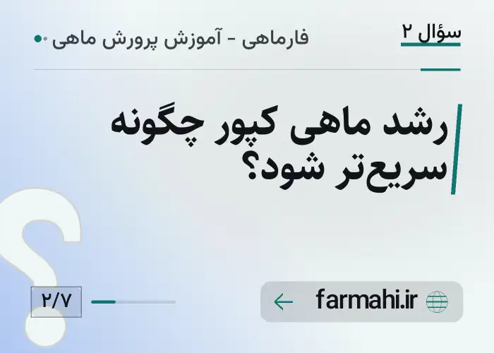 رشد ماهی کپور چگونه سریع‌تر شود؟