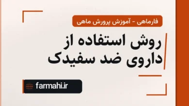 روش استفاده از داروی ضد سفیدک