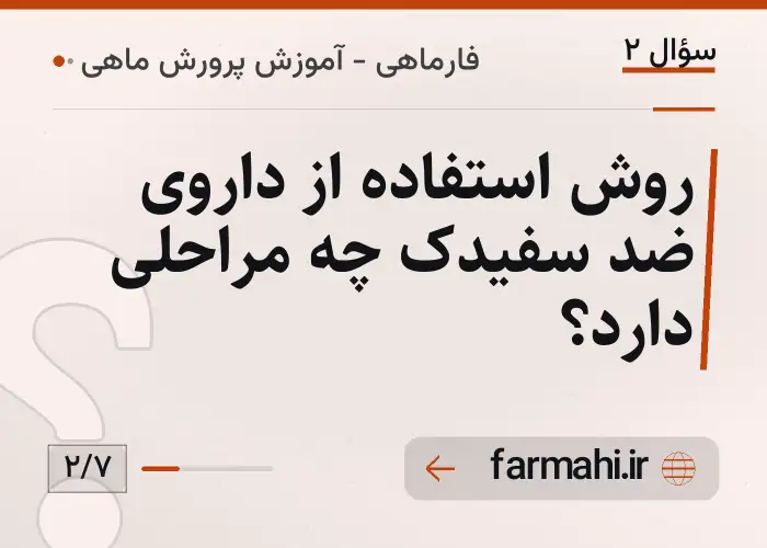 روش استفاده از داروی ضد سفیدک چه مراحلی دارد؟