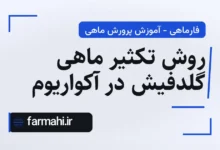 روش تکثیر ماهی گلدفیش در آکواریوم