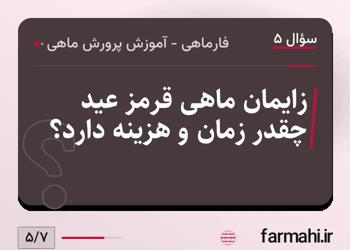 زایمان ماهی قرمز عید چقدر زمان و هزینه دارد؟