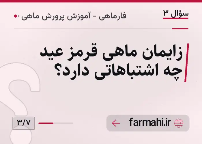 زایمان ماهی قرمز عید چه اشتباهاتی دارد؟