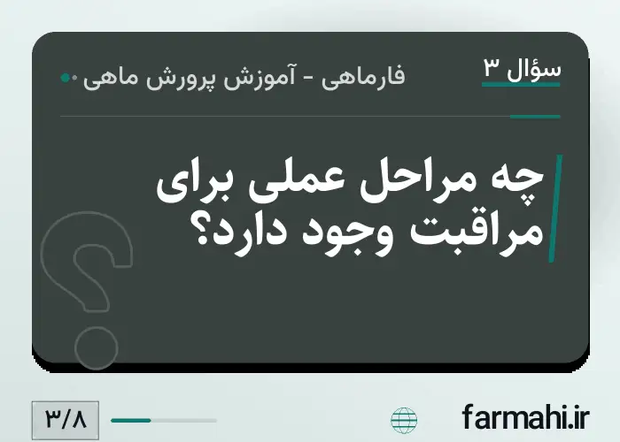 چه مراحل عملی برای مراقبت وجود دارد؟
