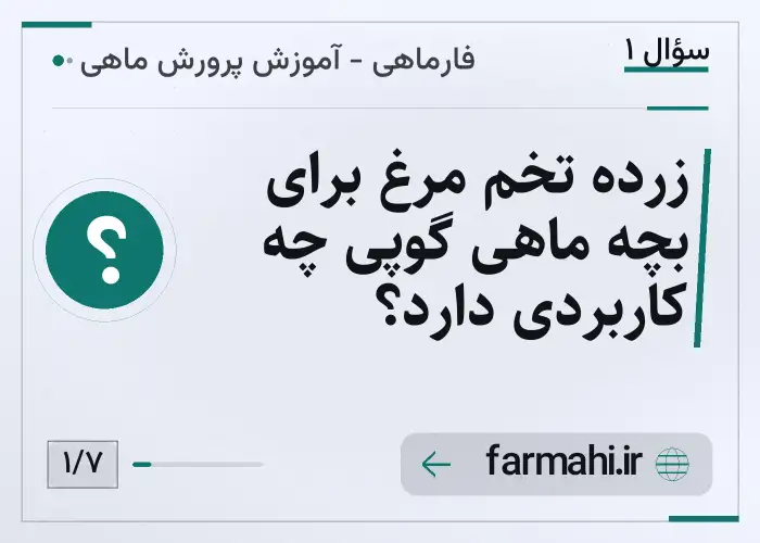 زرده تخم مرغ برای بچه ماهی گوپی چه کاربردی دارد؟