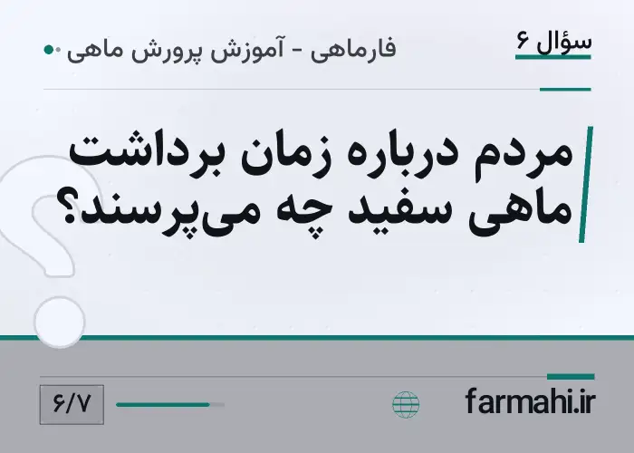 مردم درباره زمان برداشت ماهی سفید چه می‌پرسند؟