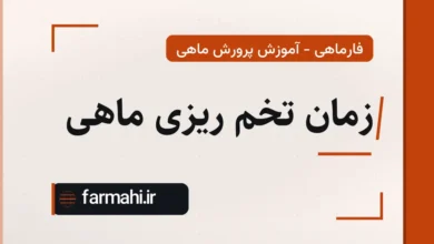 زمان تخم ریزی ماهی