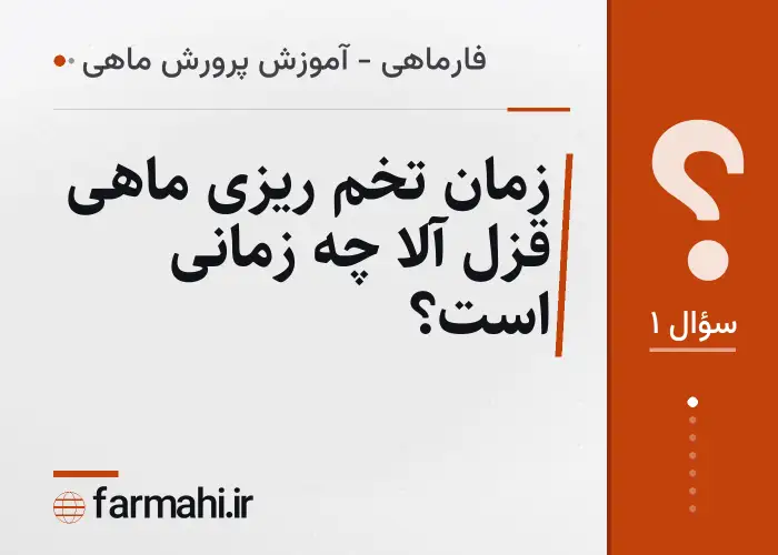 زمان تخم ریزی ماهی قزل آلا چه زمانی است؟
