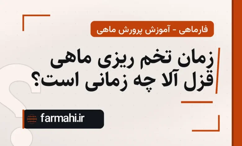 زمان تخم ریزی ماهی قزل آلا چه زمانی است؟