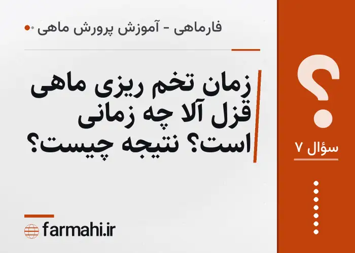 زمان تخم ریزی ماهی قزل آلا چه زمانی است؟ نتیجه چیست؟