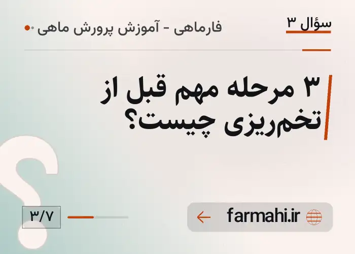 ۳ مرحله مهم قبل از تخم‌ریزی چیست؟